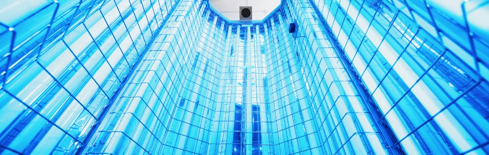 Inside of a light box lined with rows of blue light tubes